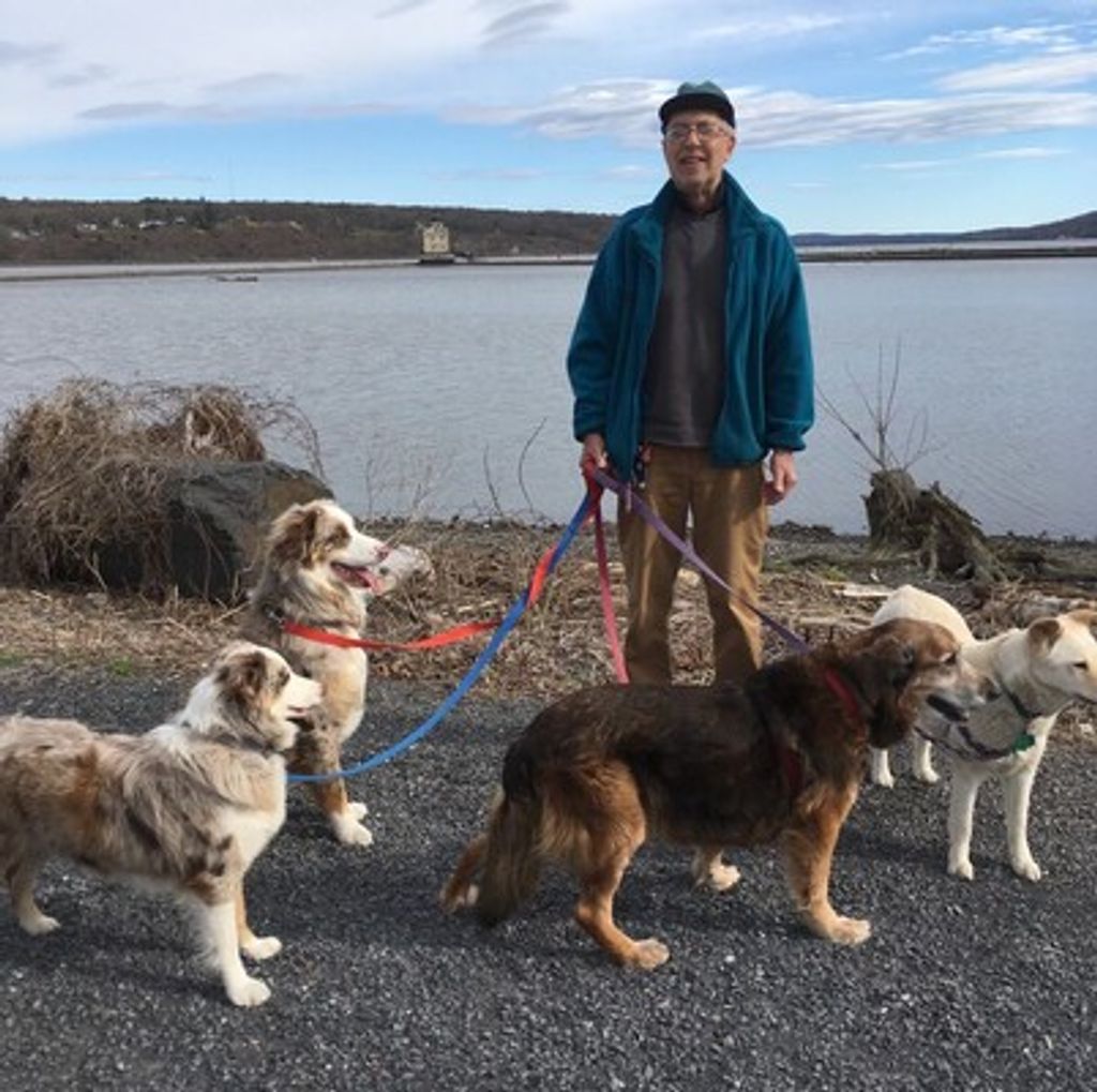 Stephen D. Ladin Profile Photo