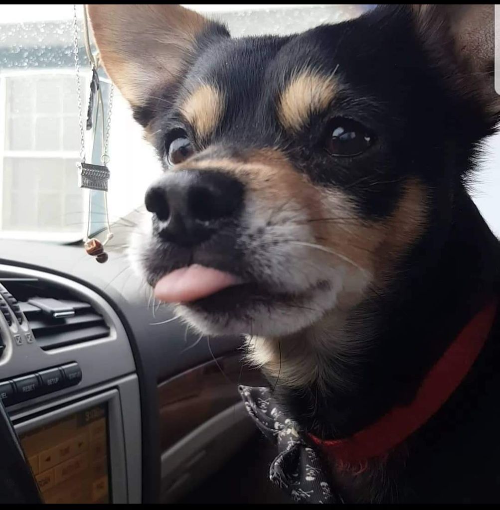 Chongo Profile Photo