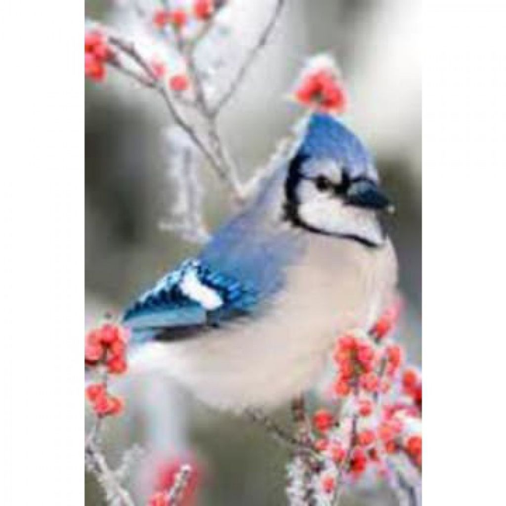 Patricia E. Thermilus Profile Photo