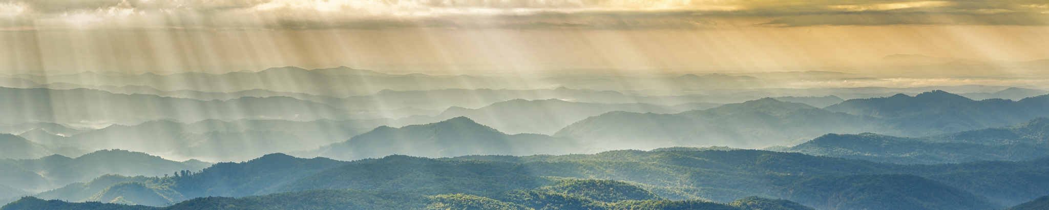 Cover for Nancy Bucklin's Obituary