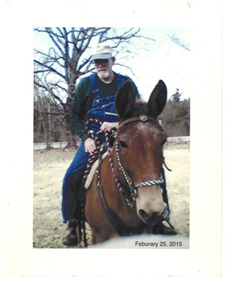 Robert "Bob" Fremont Jenkins Profile Photo