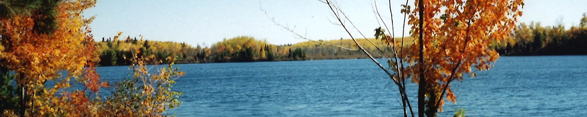 Cover photo for Ronald E Otto's Obituary