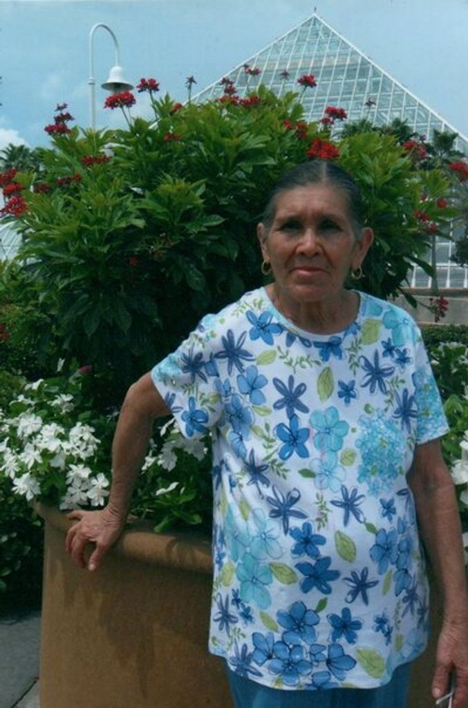 Maria Santos Martinez Profile Photo
