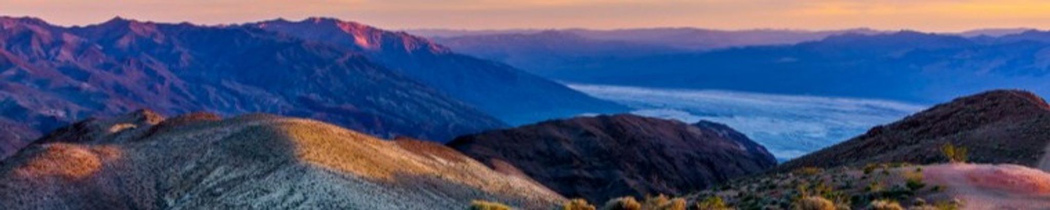 Cover photo for Patricia "Patty" Ellen Fry's Obituary