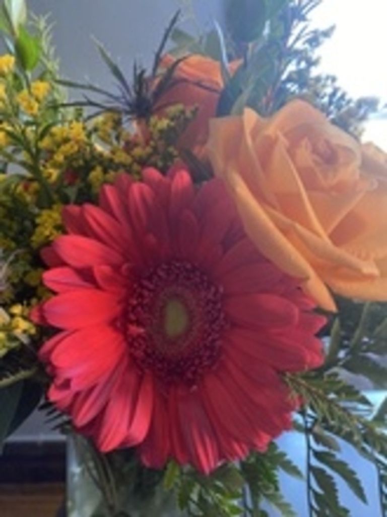 Doris L. Hall Profile Photo