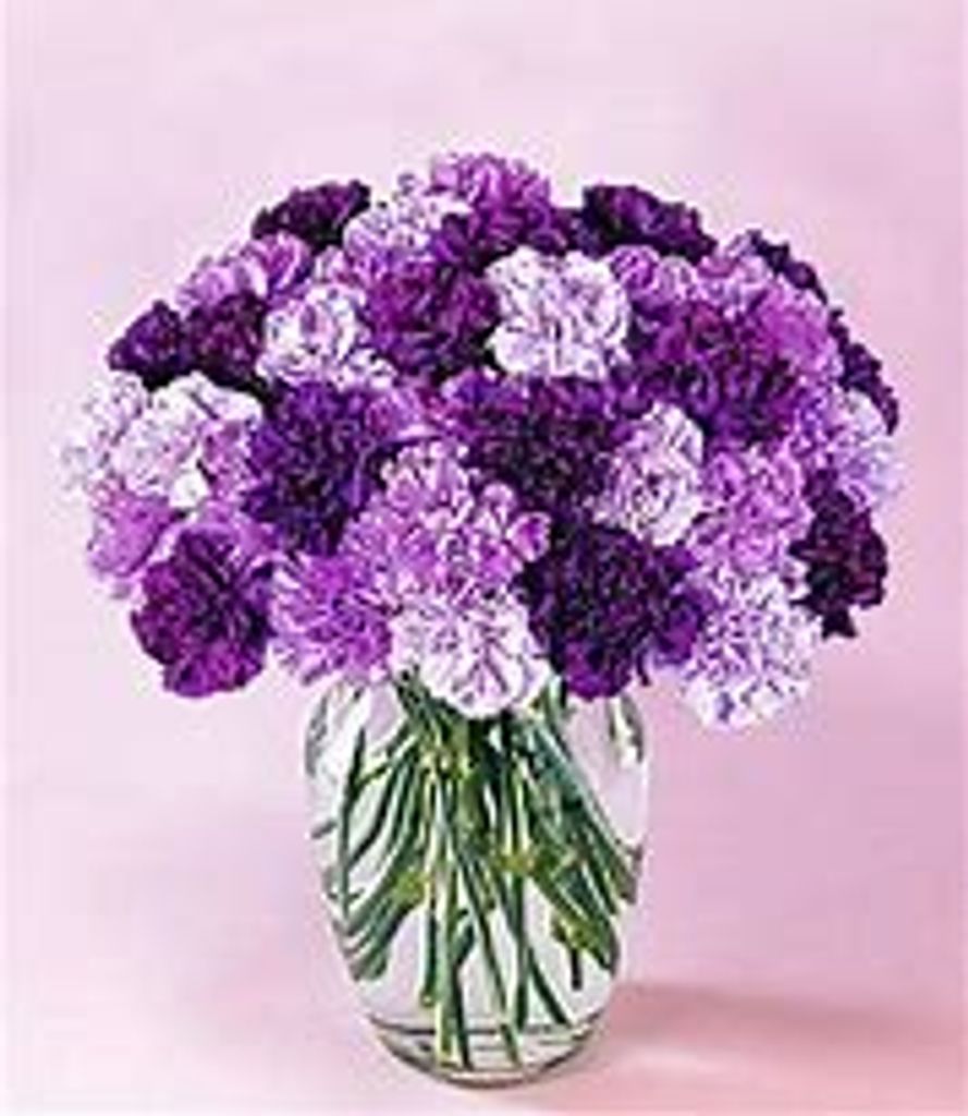 Crystal Nicole Webb Profile Photo