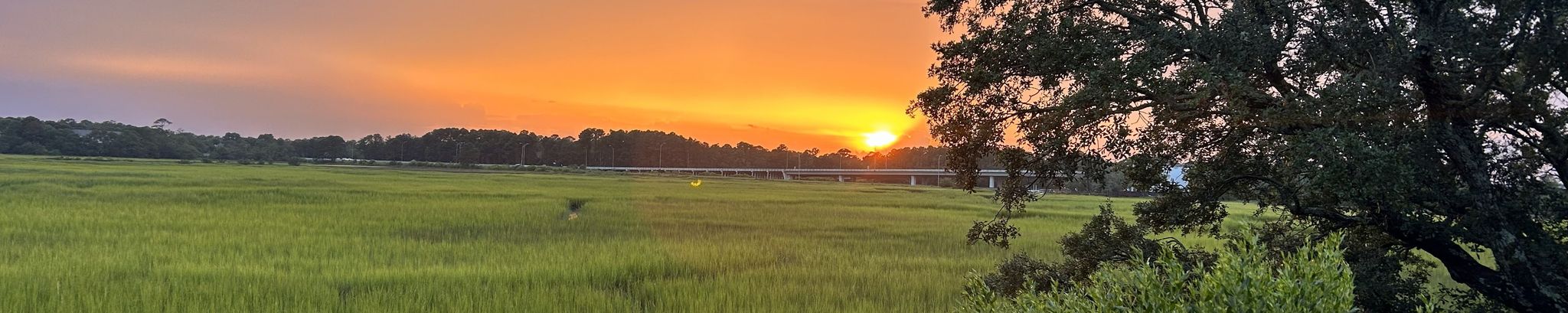 Cover for Nancy "Nan" Cahaly Braswell's Obituary