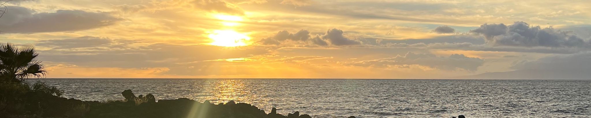 Cover photo for Diane Rosedale's Obituary