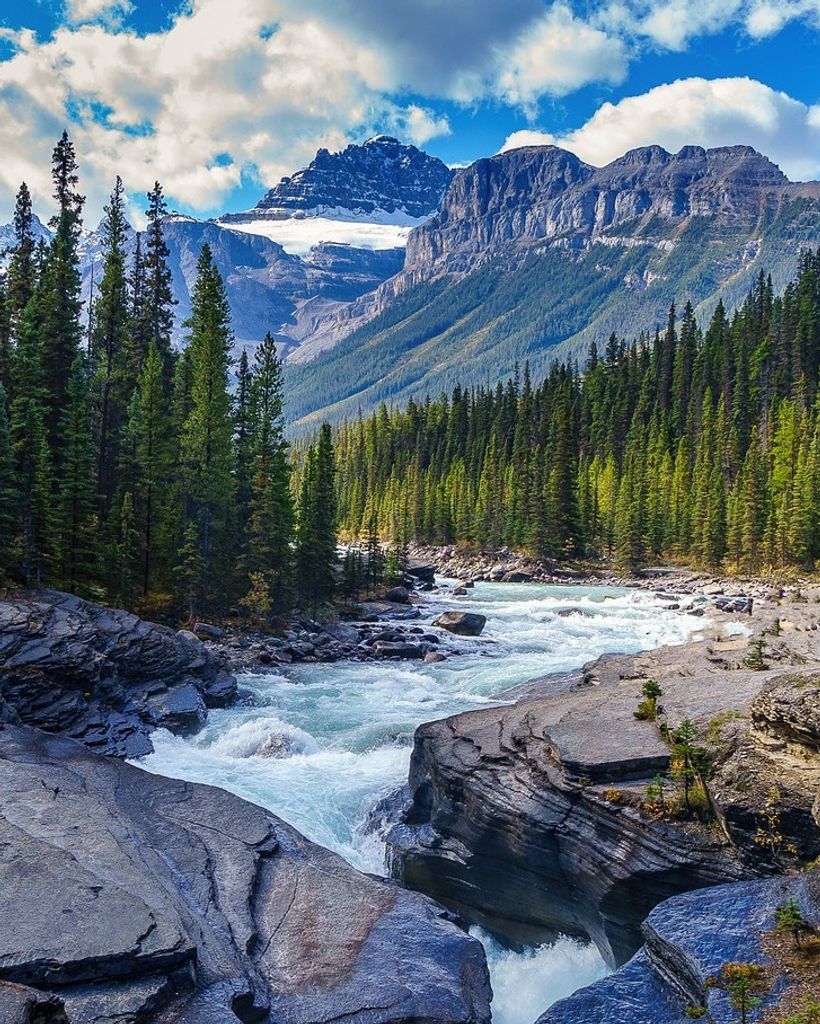 William Francis Bacon Profile Photo