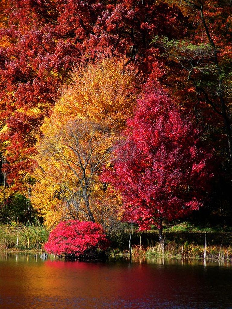 Joanne M. Rieker Profile Photo