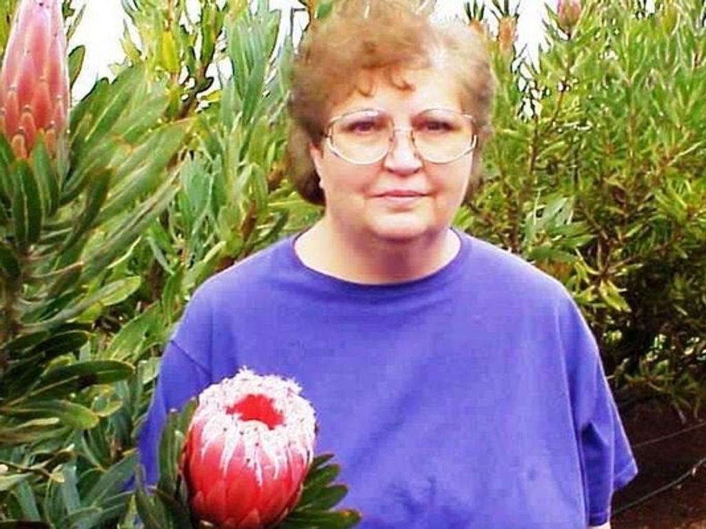 Carol Robertson Vaught