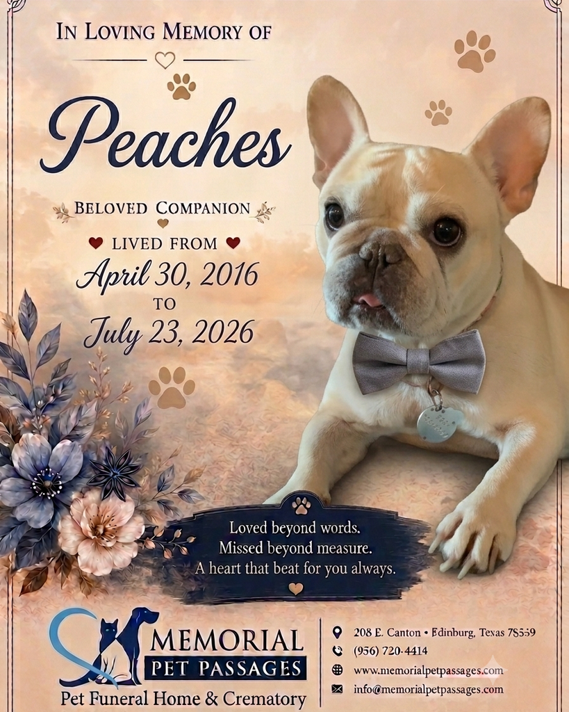 Peaches Profile Photo