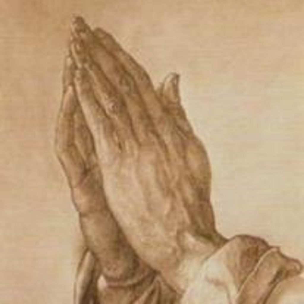 Mr Elpidio Aldarondo Profile Photo