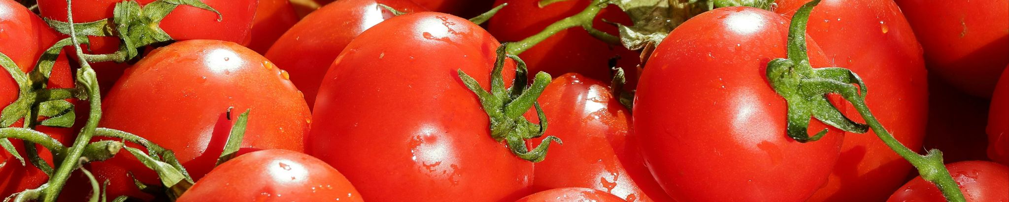 Cover for Giuseppe Campisi's Obituary