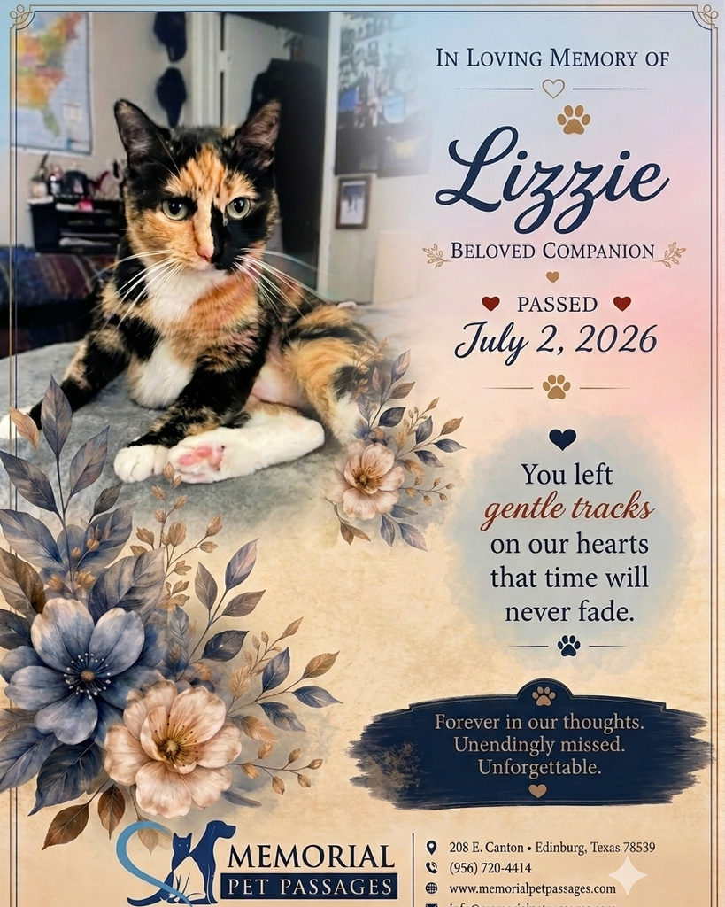 Lizzie Profile Photo
