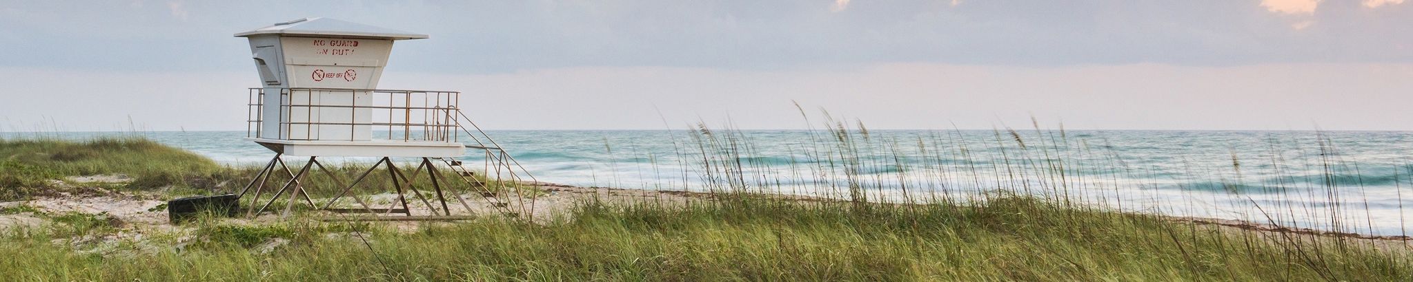 Cover photo for Jennifer Ellis's Obituary