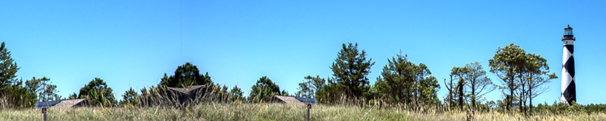 Cover photo for Wanda Lee Teal's Obituary