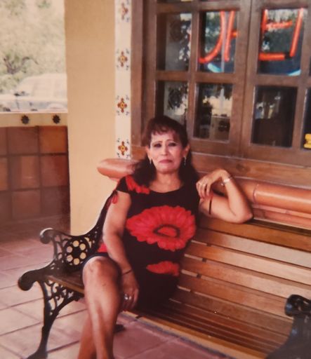 Hermelinda Tabarez Guajardo photo gallery thumbnail 18 of 195