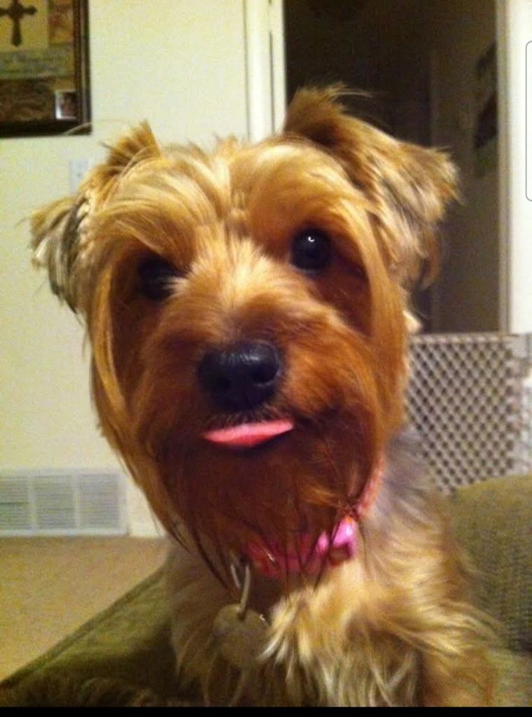 Miley Profile Photo