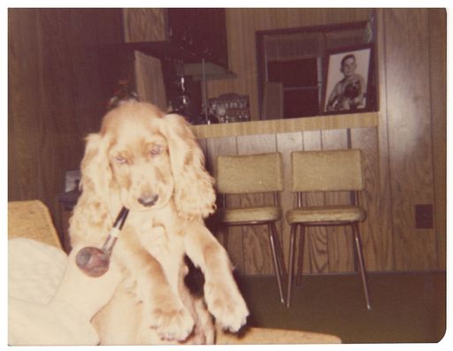 Gary L. Hall photo gallery thumbnail 108 of 354