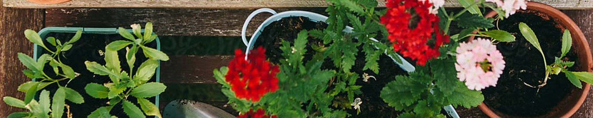Cover photo for Della Elkins's Obituary