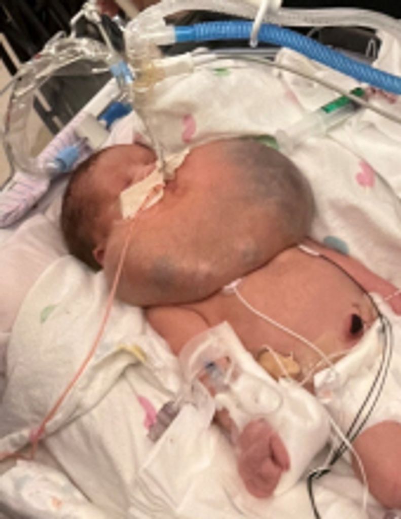Waylen Beckett Wyatt Profile Photo