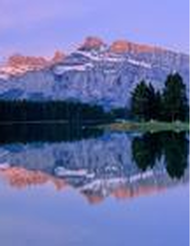 Donald William Scara