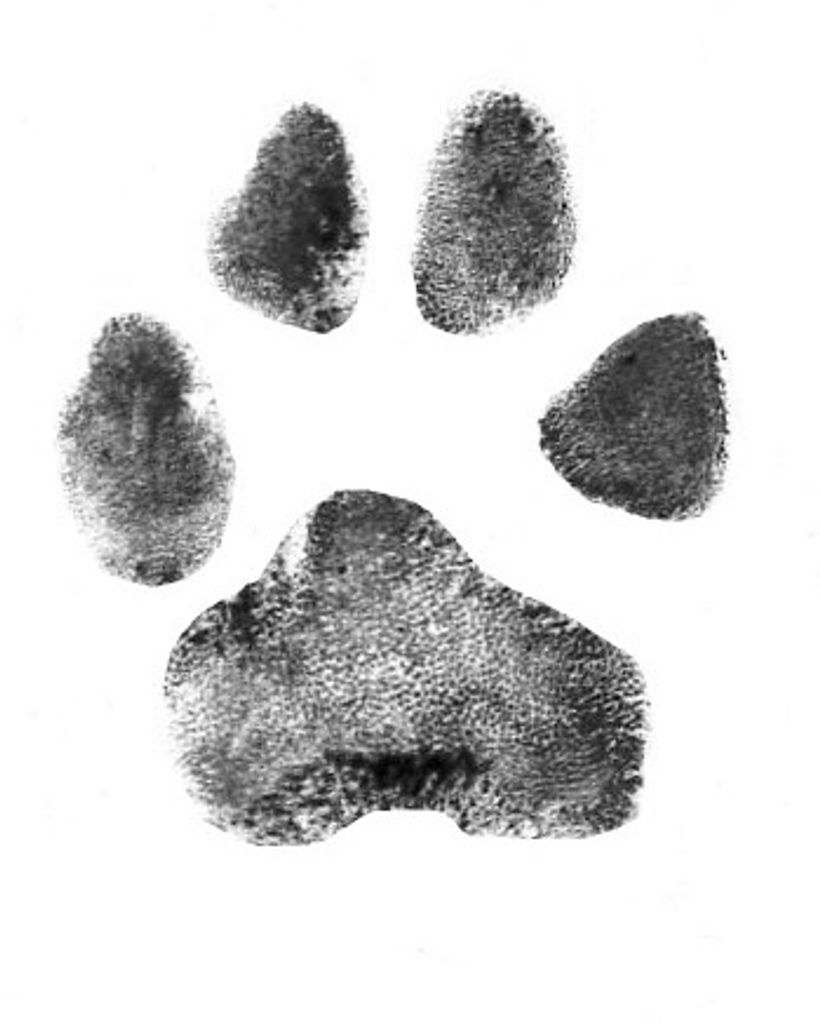 Lilly Lee Profile Photo