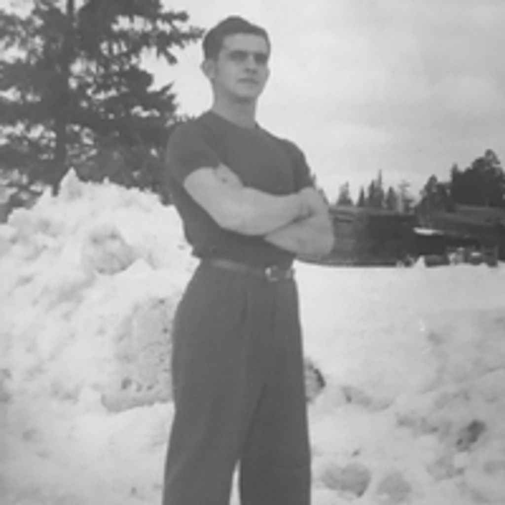 Virgil Henry Gartner