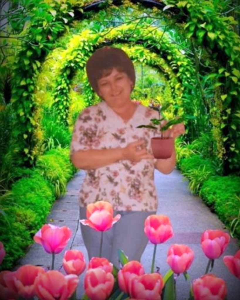 Norma Harlow Juarez Profile Photo