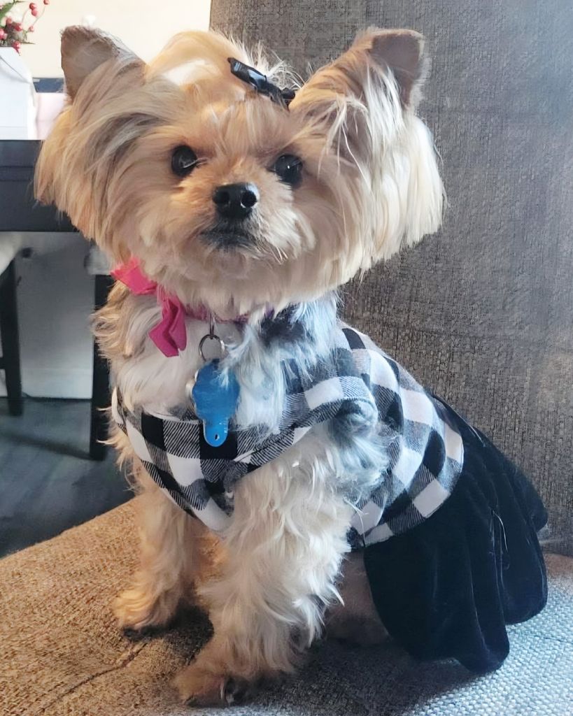 Carmen Melendez Profile Photo