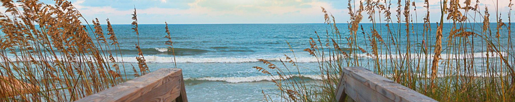 Cover photo for Jody Bissette's Obituary