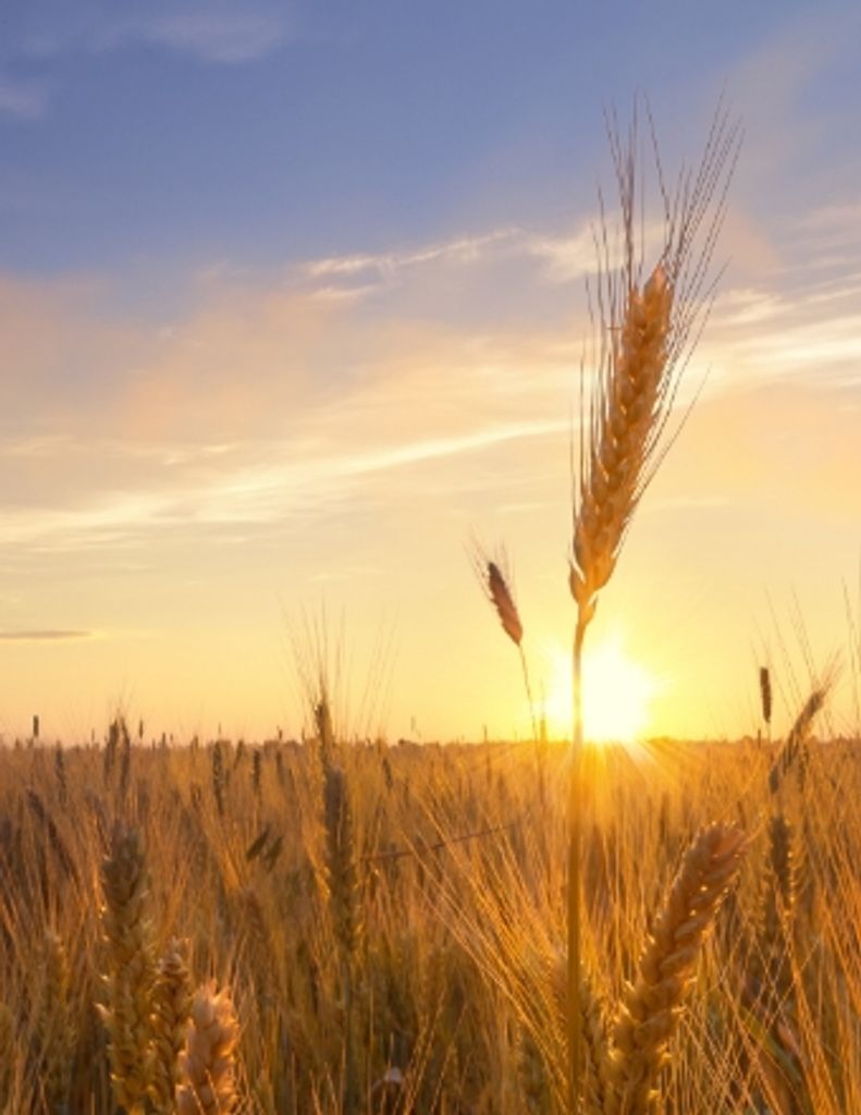 Denver Elden Reimer Profile Photo