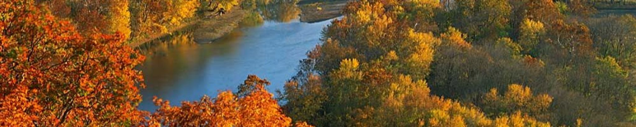 Cover for Wilbur Ferdinand Knoerr's Obituary