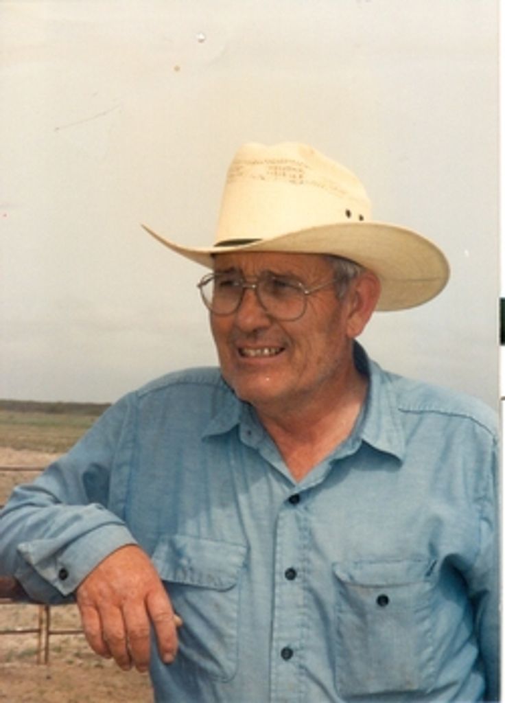 Lo Harston