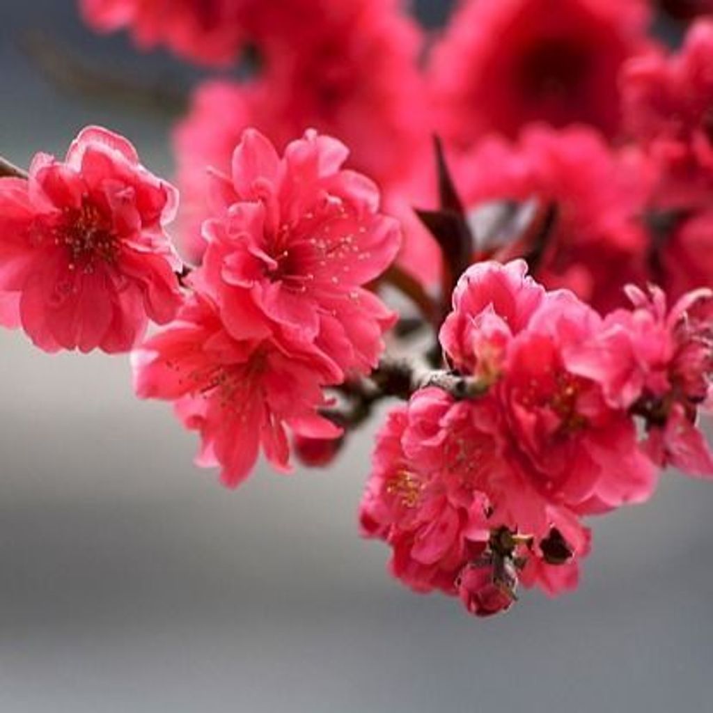 Wendy Sue Angeloff Profile Photo