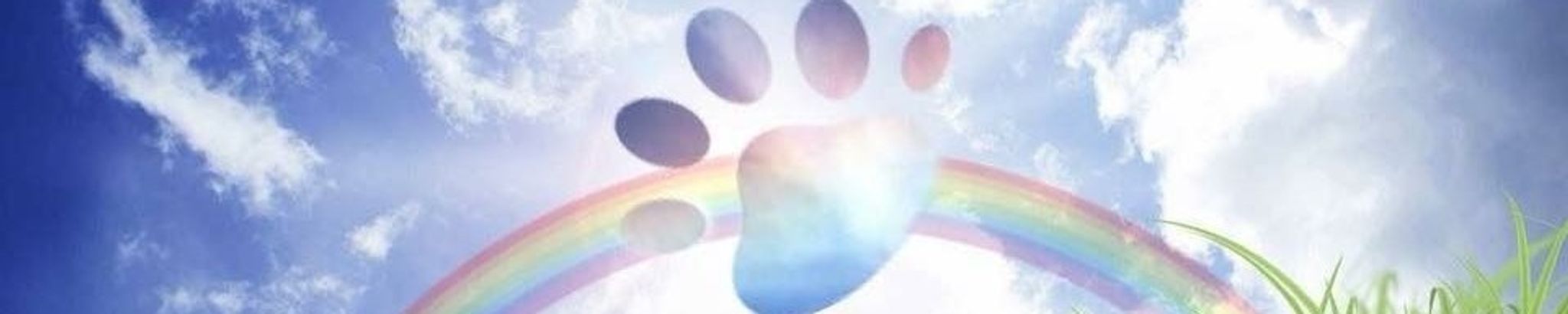 Cover for Chocolate Gerardino Arevalo's Obituary