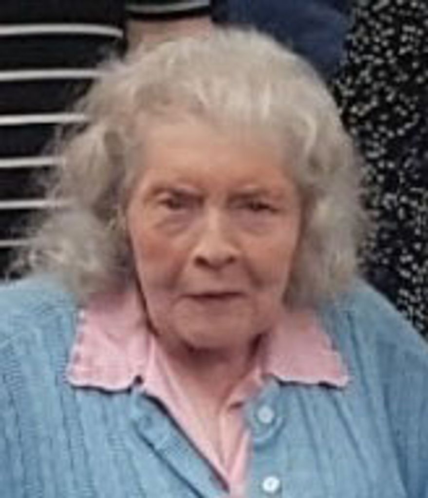 Shirley Ann (Jones)  Lewis