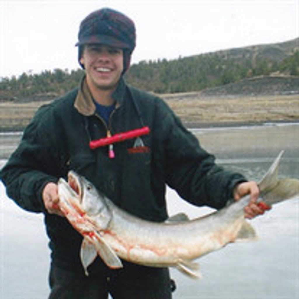 Mr. Sam Lipp