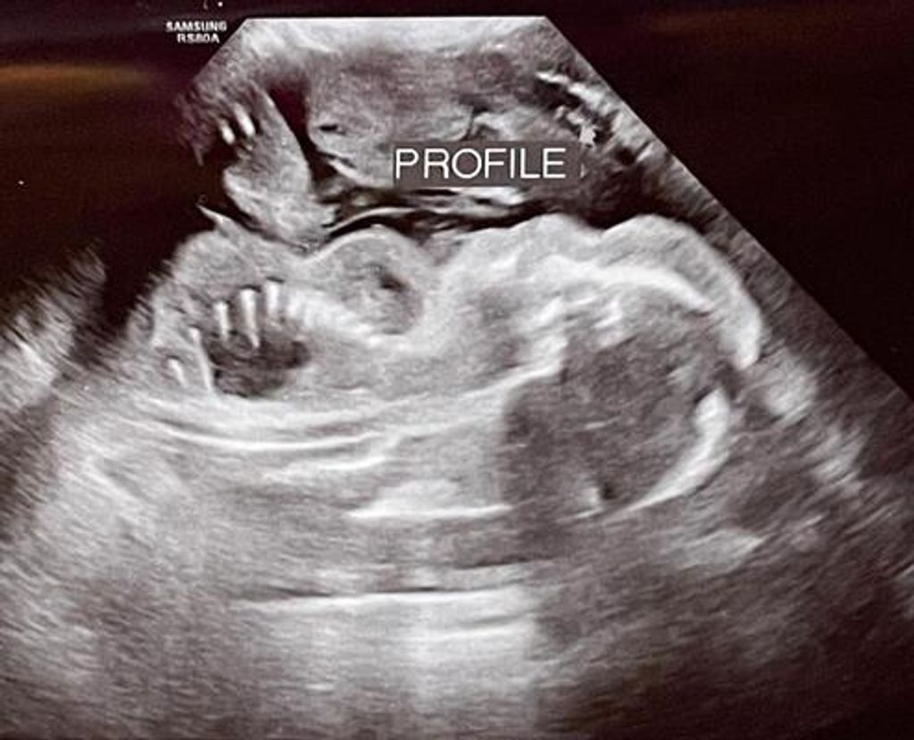 Princeton Damontae Hawkins
