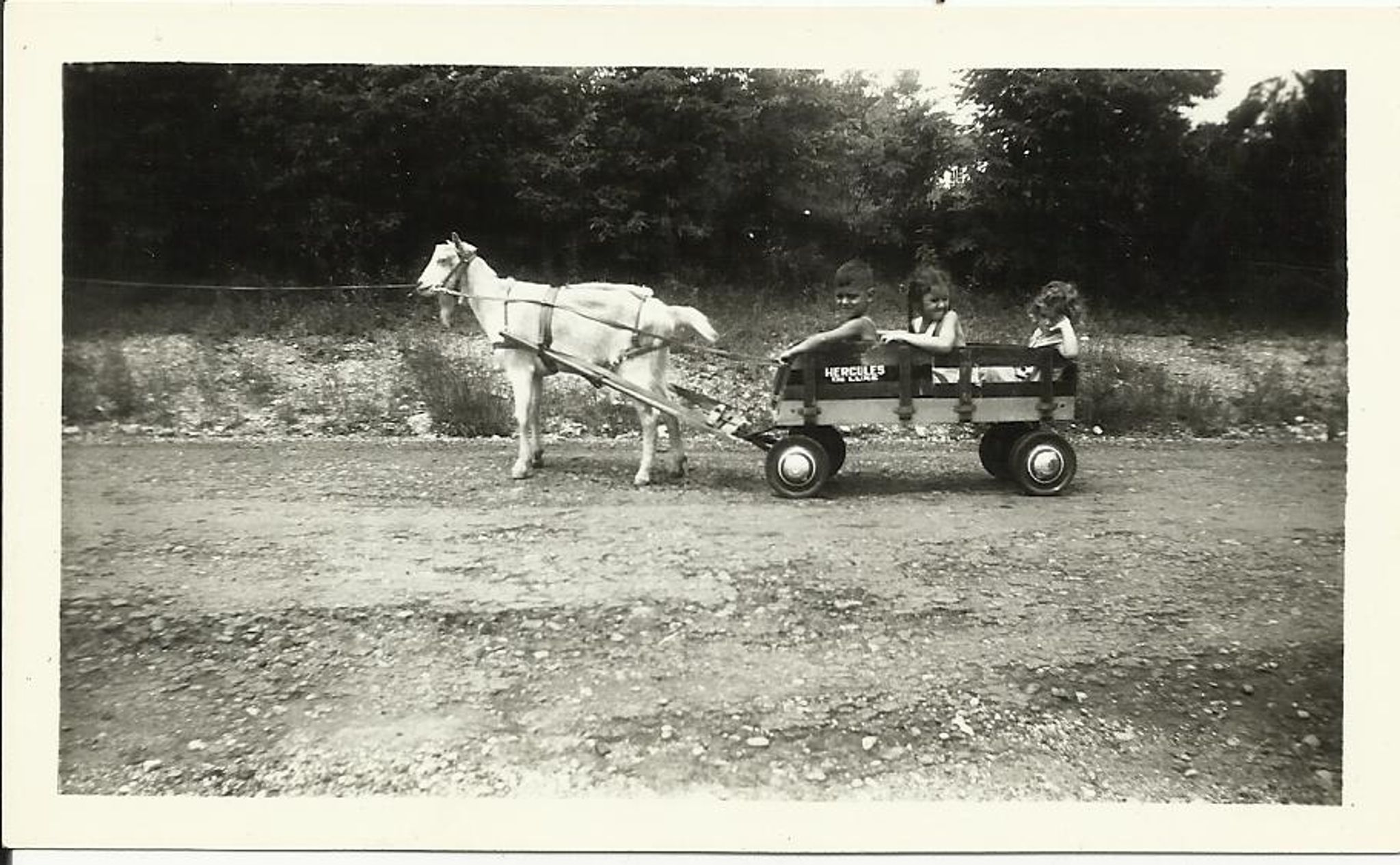 John L. Moon photo gallery image 1 of 3