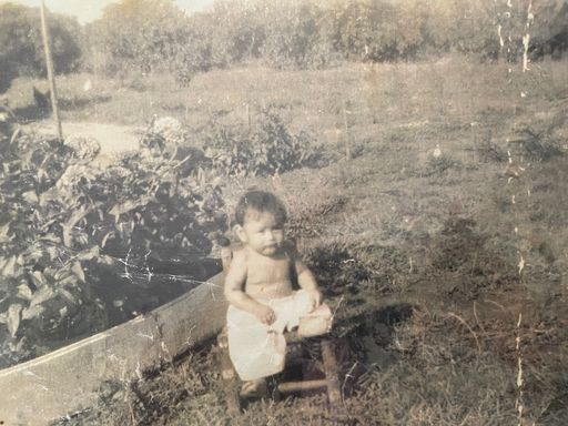 Diamianita Martinez photo gallery thumbnail 2 of 89