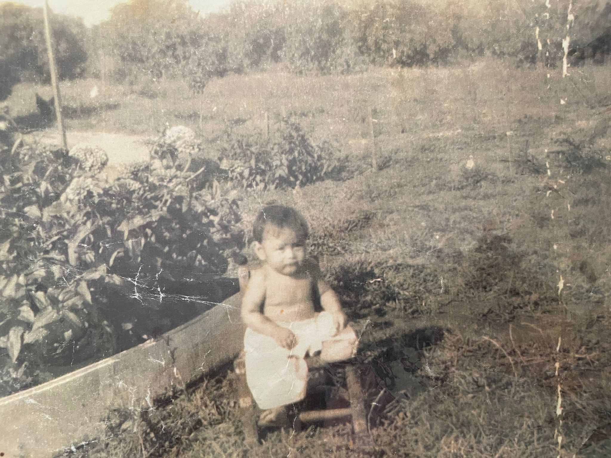 Diamianita Martinez photo gallery image 2 of 89