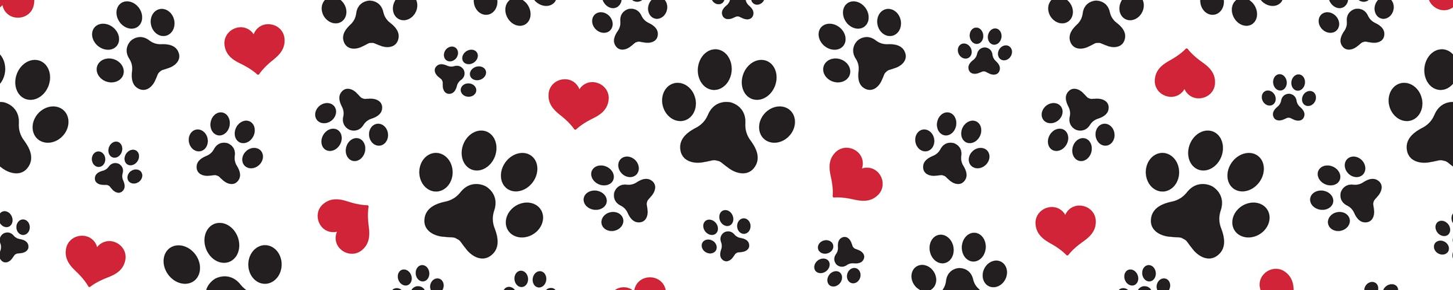 Cover for Patricia (Patti) Lee Ashby's Obituary