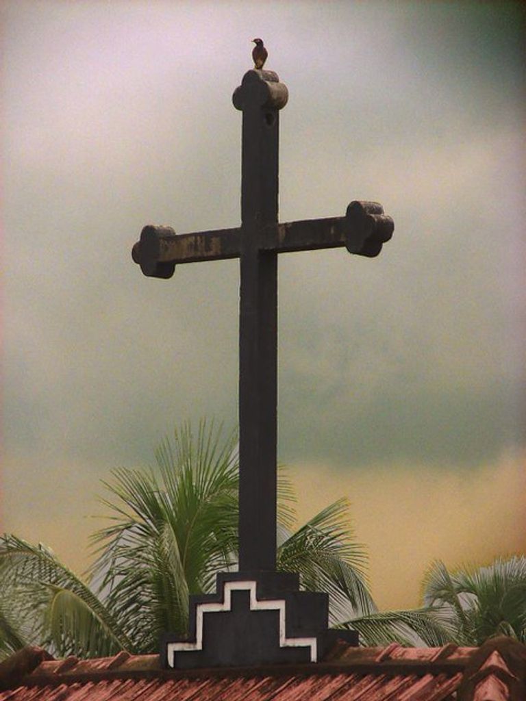 Alan Hardaway Profile Photo