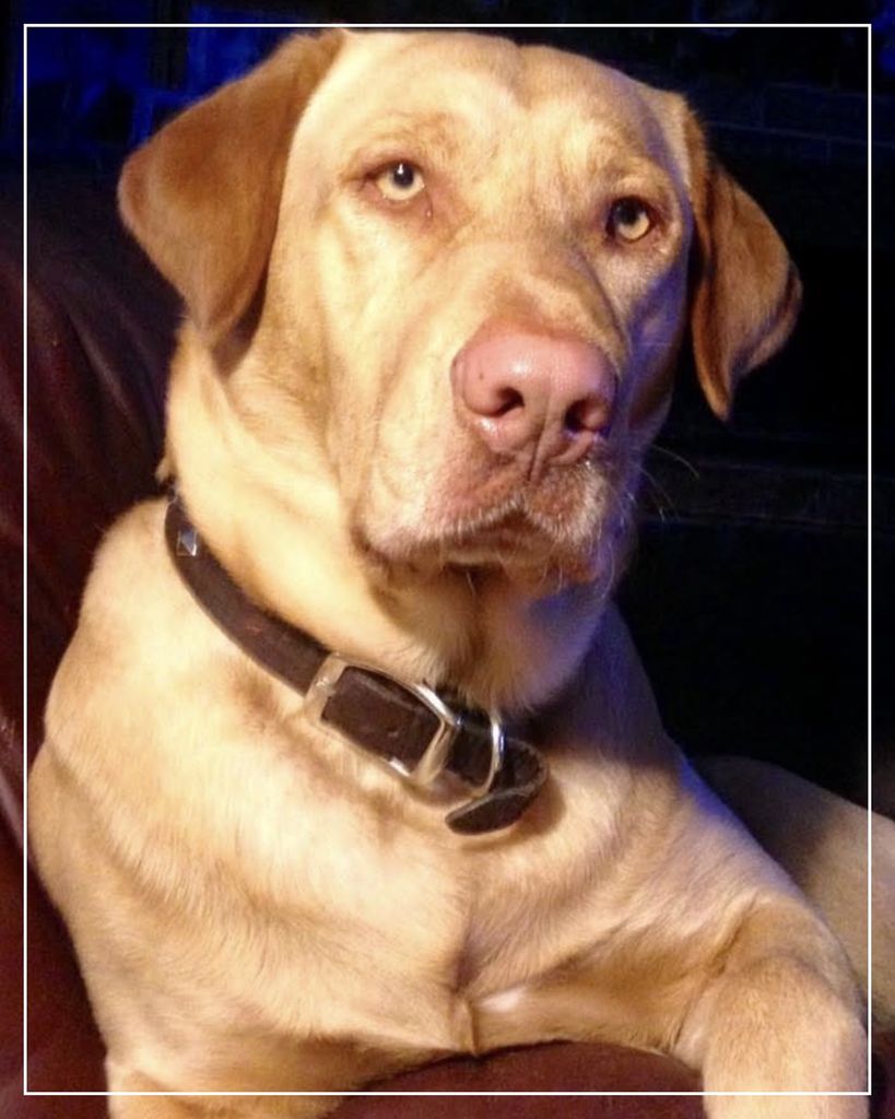 Sam Profile Photo
