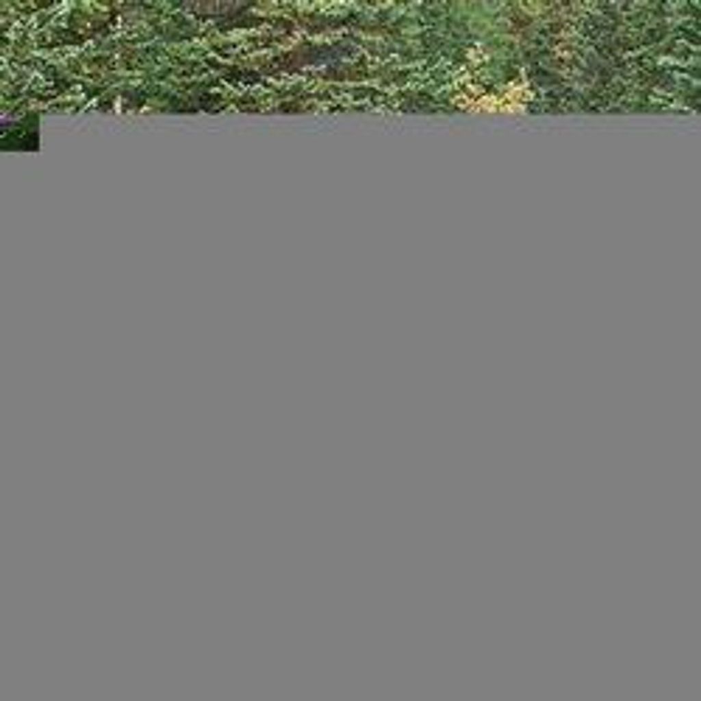 Martha Lorraine Penn Profile Photo