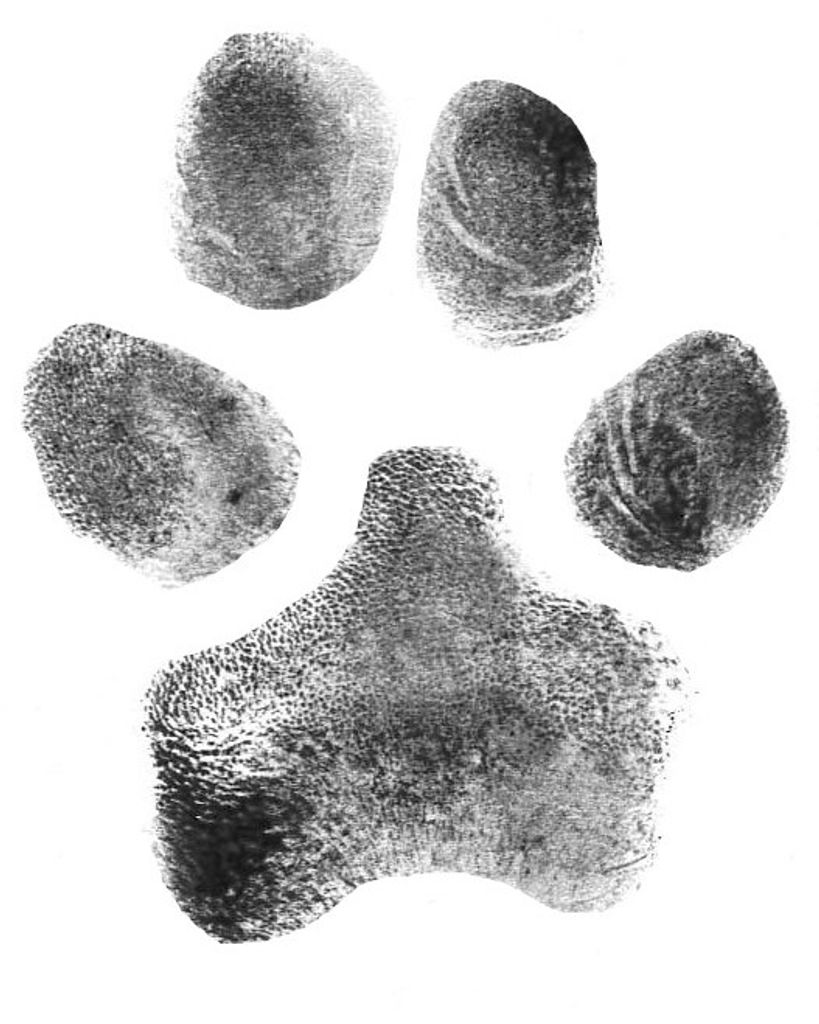 Dax Brown Profile Photo