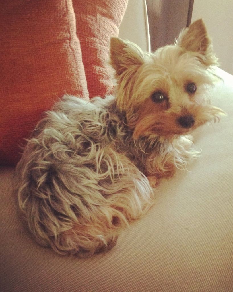 Lola