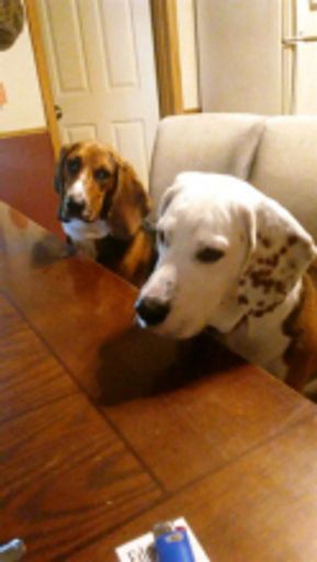 Janice L. Schuster photo gallery thumbnail 33 of 57